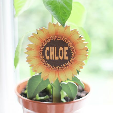 Personalised Mini Sunflower Plant Label RFPSI003UV